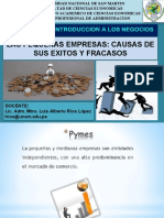 Exitos y Fracasos. Pequeñas Empresas