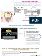 3 - Respiratoria TERAPIA 2023-2 Est