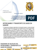 Lab de Intercambio y Transporte de Gases