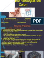 PDF Las Patologias Del Colon en Imagenologia - Compress