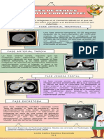 Fases del medio de contraste en rx