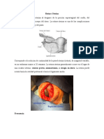 Rotura Uterina y Síndrome de Bandl-Frommel-Pinard | PDF | Parto | El ...