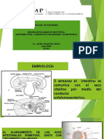 Sesion 4,Ecografia Abdominal