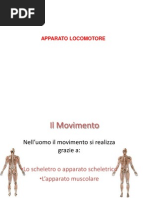locomotore_definitivo