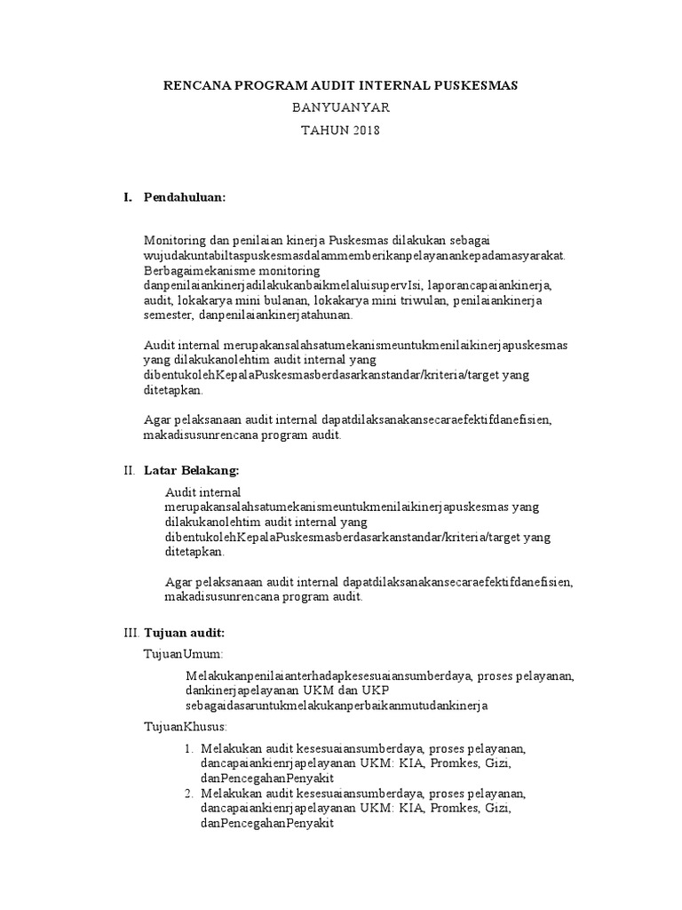 Contoh Rencana Program Audit Internal Puskesmas Tahunan | PDF