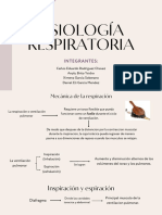 Sistema Respiratorio