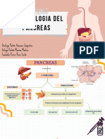 Farmacologia Del Pancreas