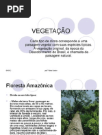 VEGETAÇÃO