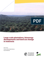 2014 - Large-Scale Plantations, Bioenergy Developments and Land Use Change in Indonesia