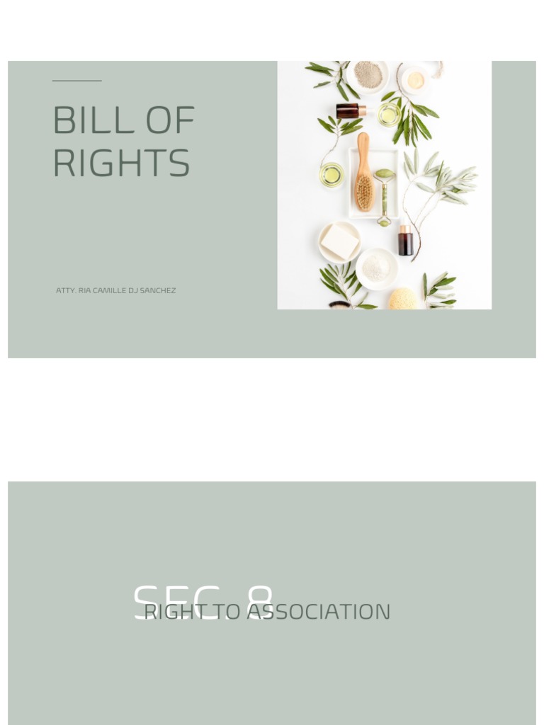 Key Rights in the Bill of Rights | PDF | Presumption Of Innocence ...