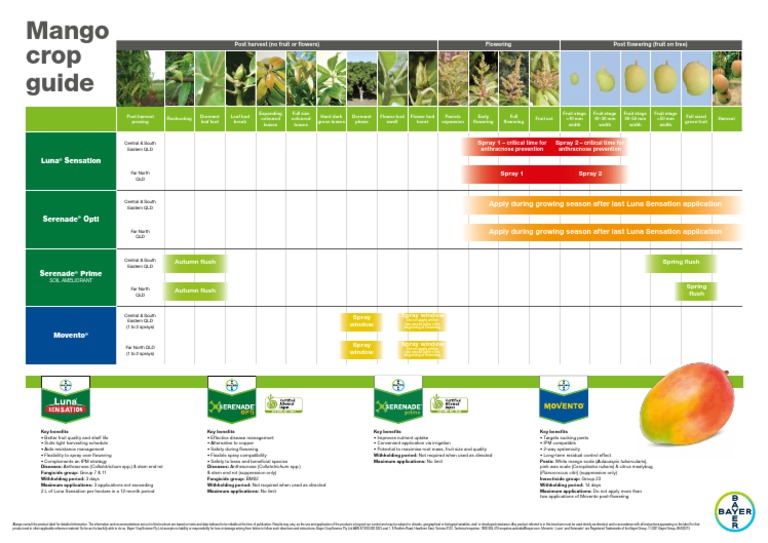 Mango Crop Guide Poster | PDF