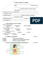 Evaluare Sumativă La Științe.docx FEBRUARIE