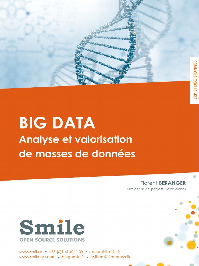 LB Smile Big-Data | PDF | Big data | NoSQL