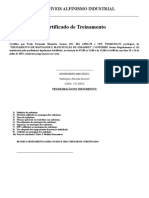 Certificado Treinamento Montador de Andaimes Paulo