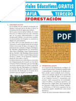 La Deforestación para Tercer Grado de Secundaria