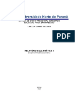 Relatório Aula Prática - Metodologia Científica