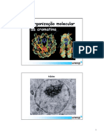 Organização Molecular Da Cromatina (Apresentação) Autor Vários Autores