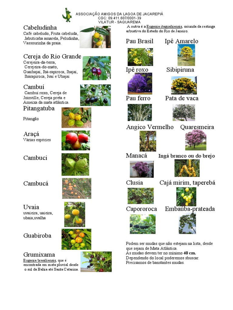 Espécies Nativas da Mata Atlântica | PDF