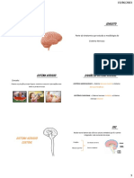 Neuroanatomia - Parte I