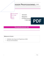 Dossier Professionnel Version Manuscrite 0