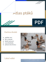 Atlas Ptáků