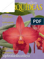 Como Cultivar Orquídeas - Ago23