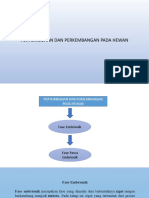 BIOLOGI Perkembangan Dan Pertumbuhan