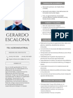 Gerardo Currículum