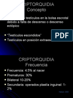 Patología Del Descenso Testicular