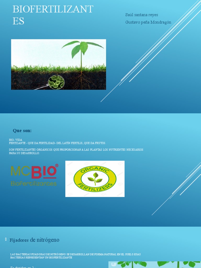 Biofer | PDF | Tecnología e ingeniería