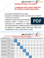 Cronograma de Trabajo Plan de Abordaje Integral A Los Conppa - La Guaira-1