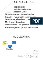 Acidos Nucleicos, Sintesis Prot, Vit, Min