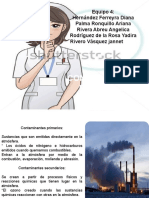 DIANA DETERMINANTES Contaminacion Atmosfer