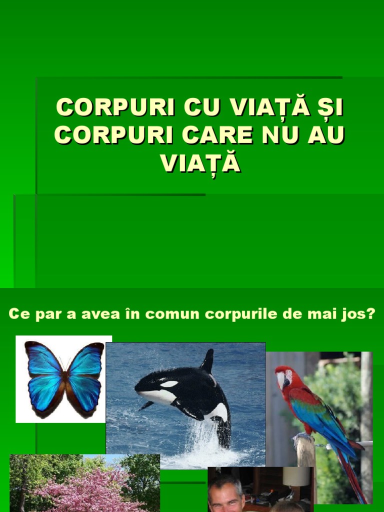 Corpuri Cu Viaţă Şi Corpuri Care Nu Au Viaţă | PDF