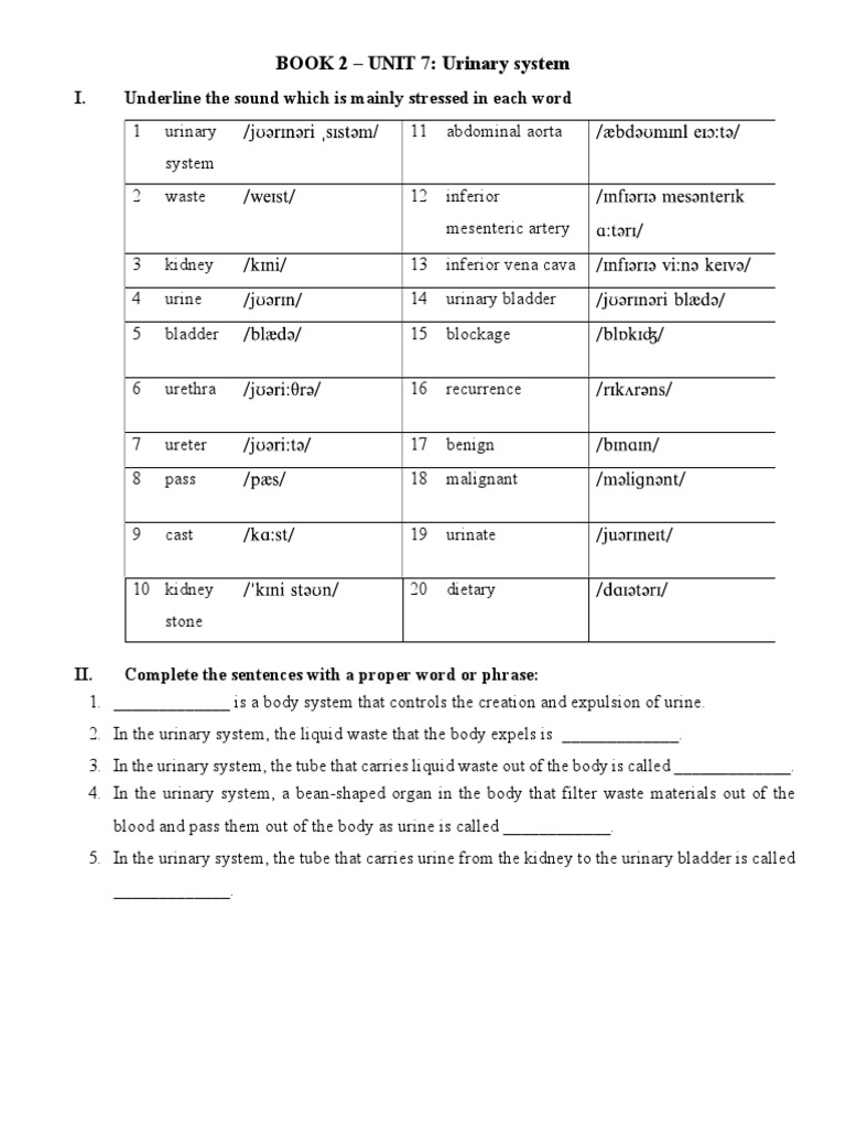 Alfred Essentials Of Music Theory Book 2 Unit 7 Answer Key