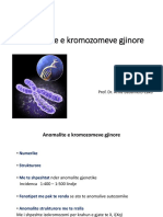 Anomalite e Kromozomeve Gjinore (Slides)
