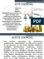 2 Aceite Esencial