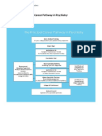 Career Pathway in Psychiatry Summary Final Fro Website