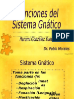 Funciones Del Sistema Gnatico