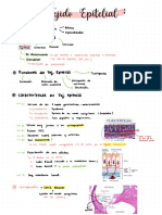 Resumen Tejido Epitelial