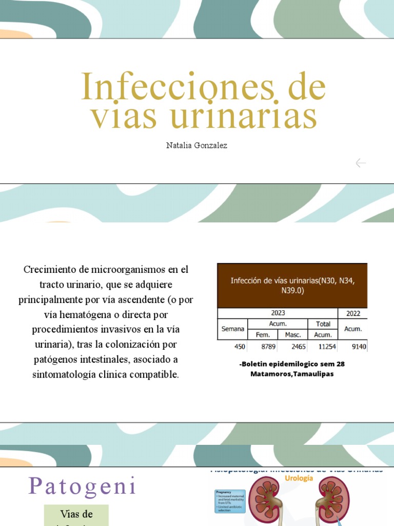 Infecciones De Vías Urinarias Causas Y Clasificación Pdf Infección 