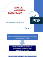 Modelos de Procesamiento Bioquímico-Parte 1 Sin Animaciones