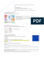 Breve Resumen de Hipoglicemia
