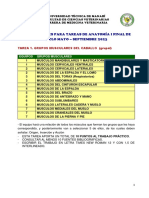 Tareas. Anatomía I. Fc. Mayo-Sept. 2023