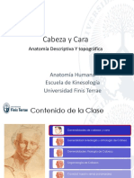 Clase 3 Anatomía Kinesiología Cabeza y Cara 2021