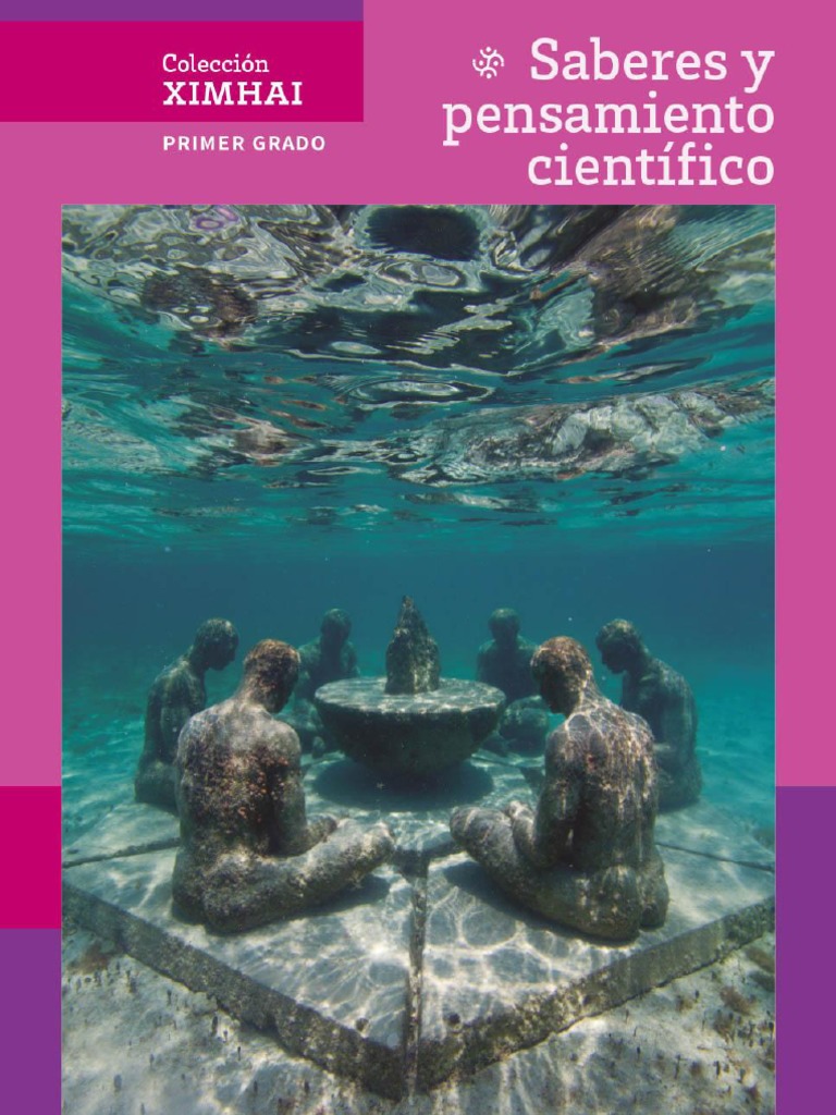 Saberes y Pensamiento Científico Primer Grado Secundaria - Colección ...