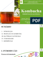 MICROBIOLOGIA - Fermentação