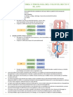 Embriologia, Anatomia y Fisiologia Del Intestino Grueso
