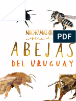 Mucho Mas Que Miel Abejas de Uruguay Digital 2