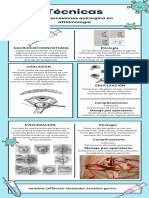 Infografia Informacion de Salud Ilustrativo Sencilla Celeste y Blanco - Compressed
